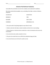 Animals of the Rainforest Worksheet